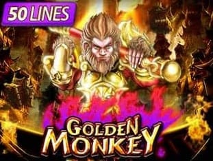 Golden Monkey icon