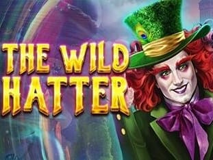 The Wild Hatter icon